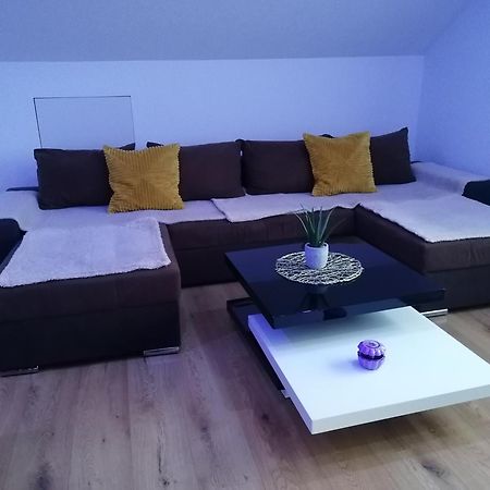 Apartment An Der Schweizer Grenze Лауфенбург Екстериор снимка