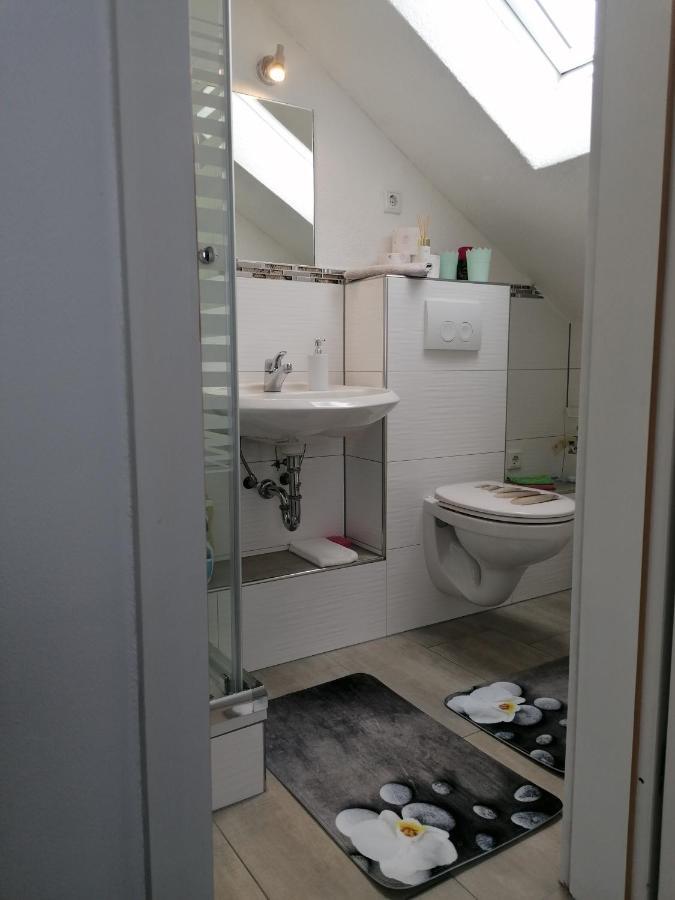 Apartment An Der Schweizer Grenze Лауфенбург Екстериор снимка