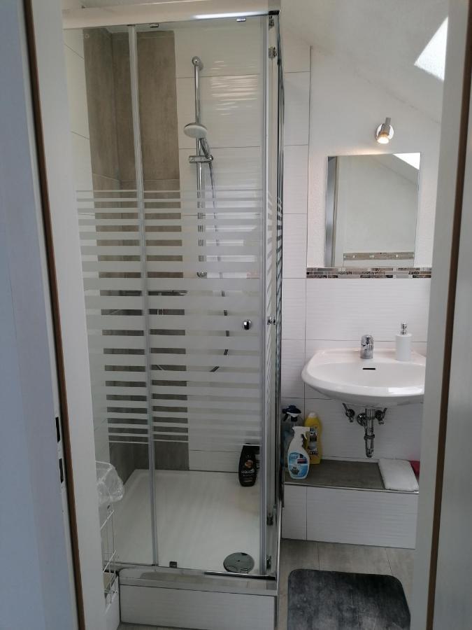 Apartment An Der Schweizer Grenze Лауфенбург Екстериор снимка