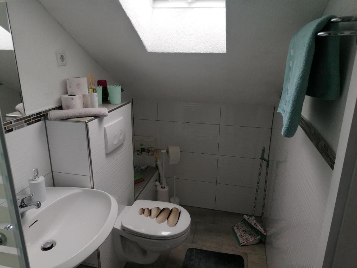 Apartment An Der Schweizer Grenze Лауфенбург Екстериор снимка
