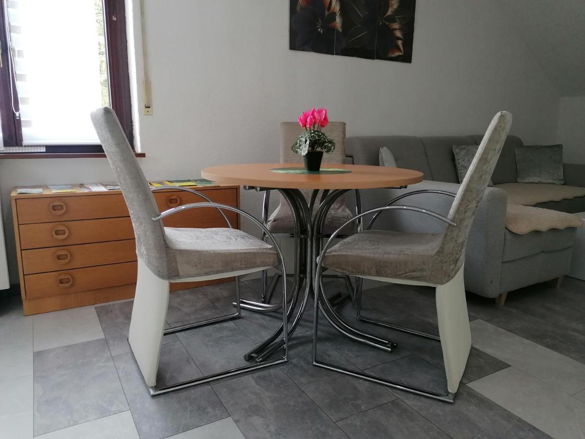 Apartment An Der Schweizer Grenze Лауфенбург Екстериор снимка