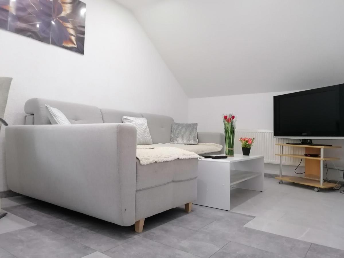 Apartment An Der Schweizer Grenze Лауфенбург Екстериор снимка