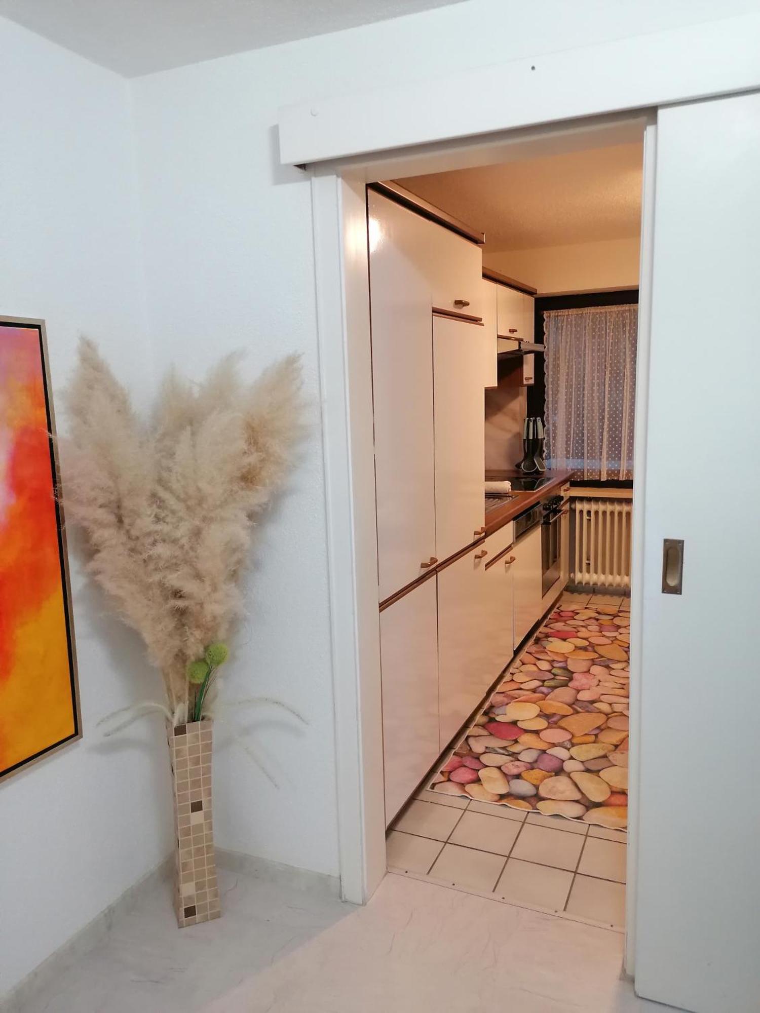 Apartment An Der Schweizer Grenze Лауфенбург Екстериор снимка